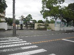 ４