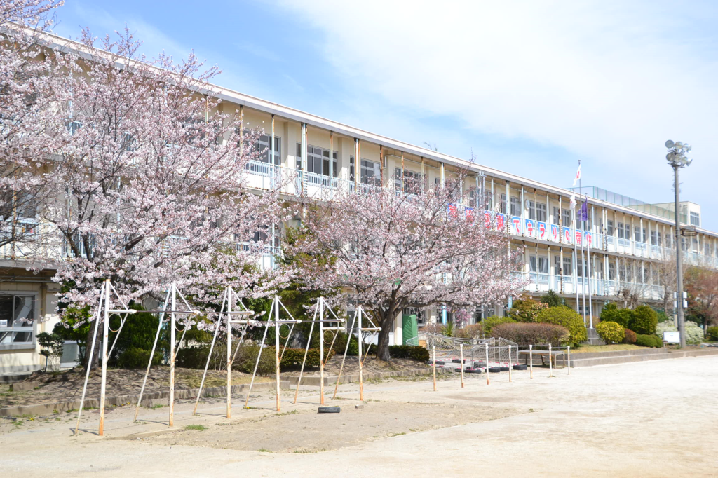 校舎と桜