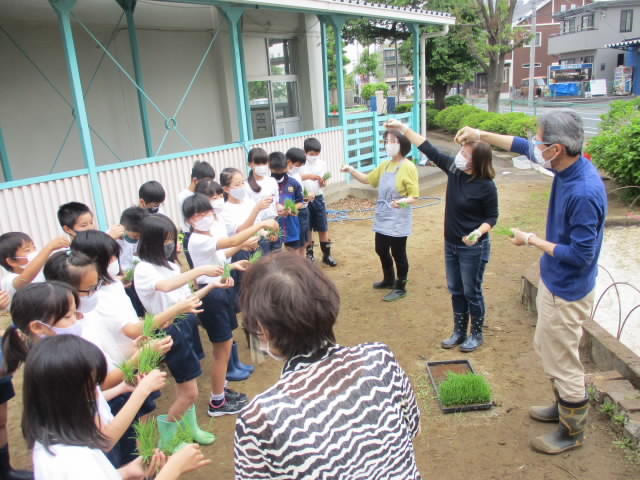 戸ヶ崎 小学校 ホームページ