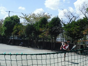 テニス3