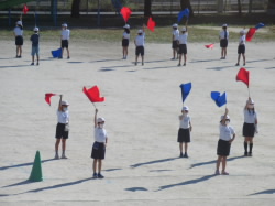 1461