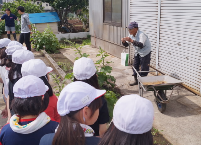 田植え