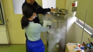 理科