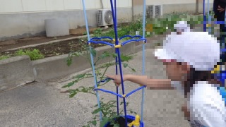 生活科
