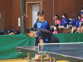 taikai14