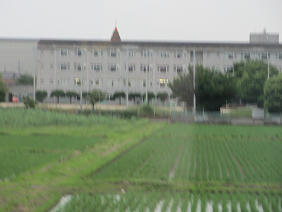 kaeri