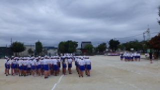 なりすぽ