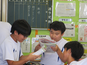 eigo