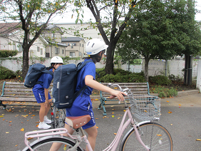 taikai
