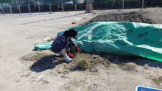 ボランティア
